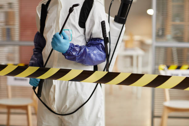 Professional Sewage Cleanup technician working in Union City, TN